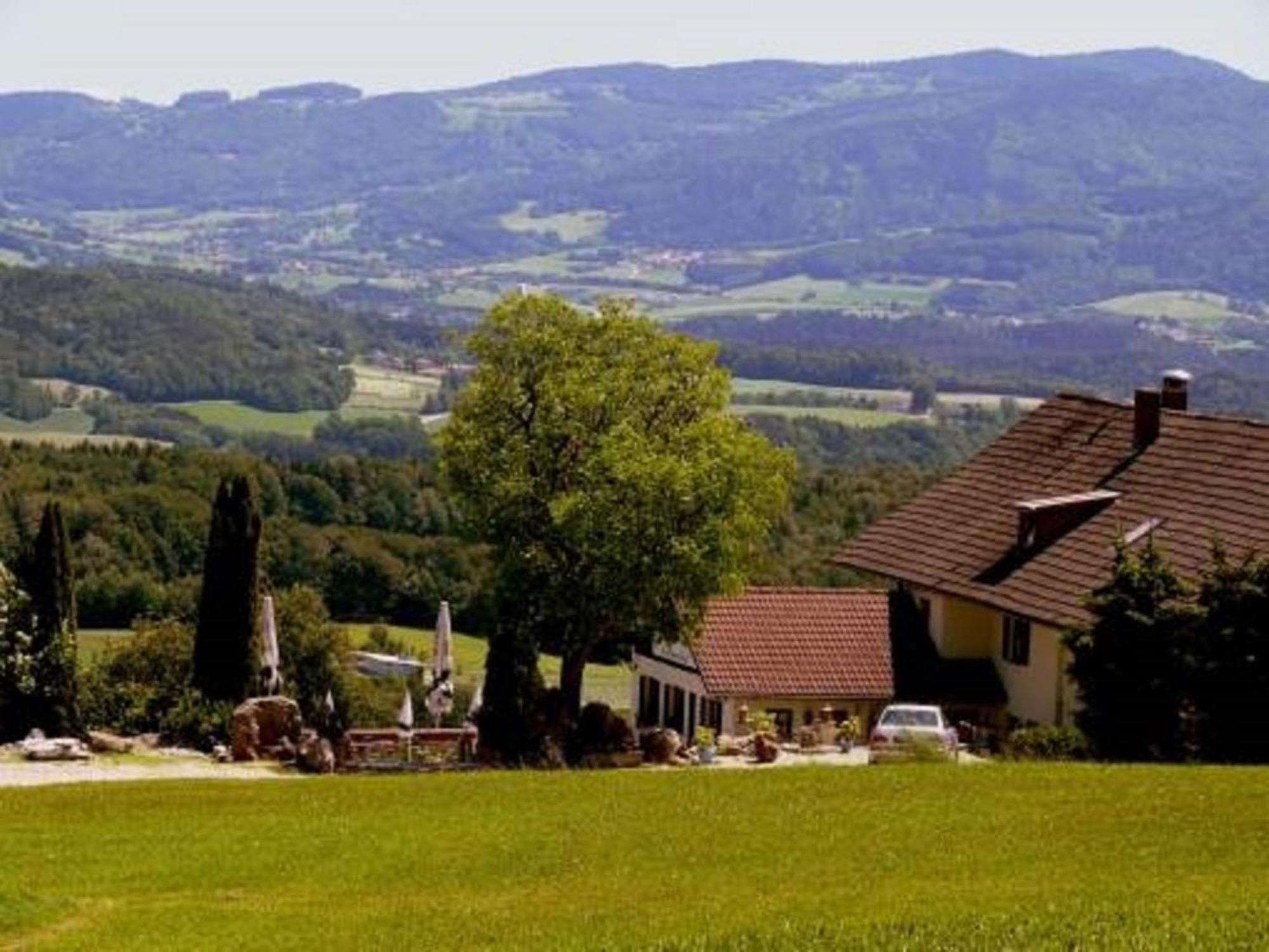 Schaufling Landhaus Lehnerhof מראה חיצוני תמונה
